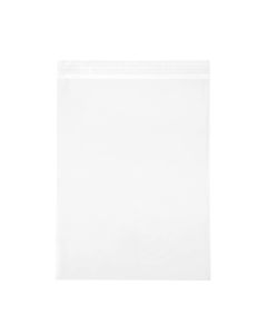 B10 Flap Seal Bags -  10 7/16" x 15 1/4"
