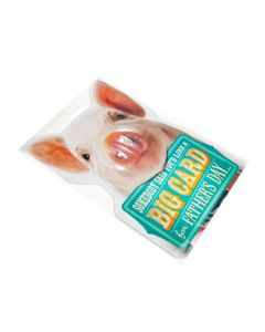 B1020 Flap Seal Bags -  10 7/16" x 20 1/4"