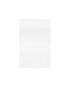 B4X6XL Flap Seal Bags -  4 5/8" x 6 3/8"