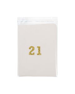 B5B1 Flap Seal Bags -  4 7/8" x 6"