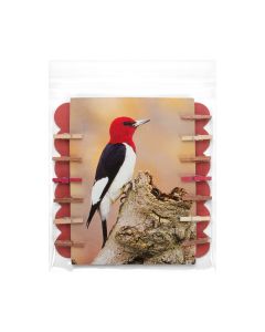 B5X5M Flap Seal Bags -  5 11/16" x 5 9/16"