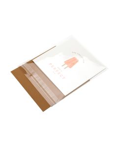 B5X5SM Flap Seal Bags -  5 3/16" x 5 1/16"