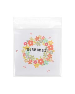 B5X5XL Flap Seal Bags -  5 15/16" x 5 7/8”