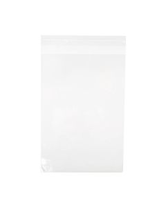 B69S Flap Seal Bags -  6 3/16" x 9"