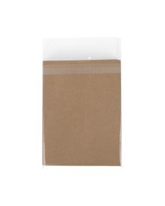 B6B3PC Protective Closure Bags –5 7/16” x 7”