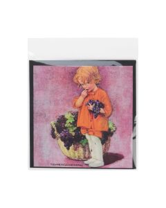 B6X6MPC Protective Closure Bags –6 11/16” x 6 9/16”