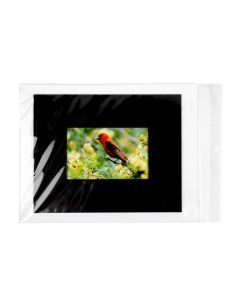 B9 Flap Seal Bags -  9 7/16” x 12 ¼”