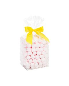 FGPB5 Flat Bottom Gusset Bag with Paper Insert – 4” x 3” x 10”