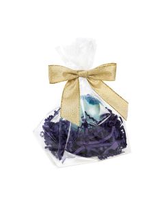 FGPB9 Flat Bottom Gusset Bag with Paper Insert – 4” x 4” x 7”