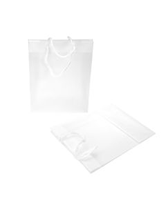 G8FT1 Large Gift Bag Frosted Glossy - 8 5/8" x 3" x 10 3/4"
