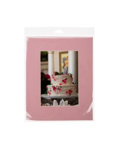 HB108 Crystal Clear Hanging Bags Flap Seal –8 7/16” x 10 ¼”