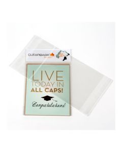 IHB4X5 Insertable Header Flap Seal Bags – 4 5/8” x 5 ¾”