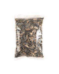 SFB46 Flat Heat Seal Bags – 4” x 6”