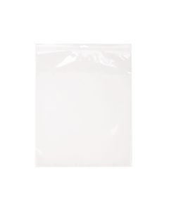 ZE1215 2 Mil Crystal Clear Zip Bags – 12” x 15” (Euro Hang Hole)