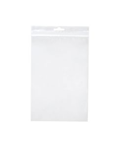 ZE69 2 Mil Crystal Clear Zip Bags – 6” x 9” (Euro Hang Hole)