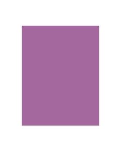 CDS-14 Ashley Cardstock 65# Passion Fruit - 8 1/2" x 11"