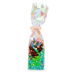 HFGPB22 Iridescent Flat Bottom Gusset Bag with Paper Insert - 5