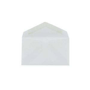 E3B0 Frosty Clear Translucent Vellum Envelope 29# - 2 1/8