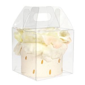 FPLB57 Clear Gable Box with Handle - 4