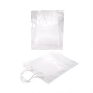 G66ZZ1 Small Gift Bag Clear Glossy - 6 5/16