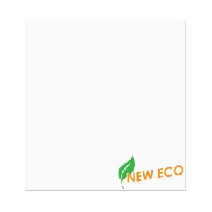 GC1013NF Premium Eco Clear No Flap Bags – 10” x 13”