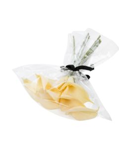 B20NF Crystal Clear No Flap Bags – 20 7/16” x 24 3/8”