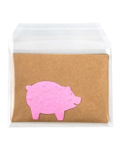 B45SCT Flap Seal Bags -  5 11/16" x 4 1/4"