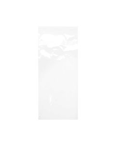 B49PC Protective Closure Bags – 4 5/16” x 9 9/16”