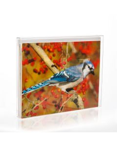FB6 Crystal Clear Boxes – 4 ½” x 5 7/8” x ½”