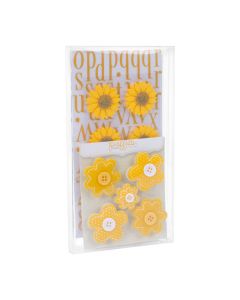 FB97 Crystal Clear Boxes – 4 1/6” x 7 9/16” x 5/8”