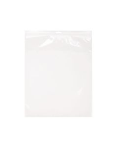 ZE1315 2 Mil Crystal Clear Zip Bags – 13” x 15” (Euro Hang Hole)