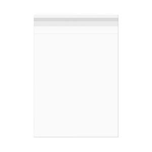 B20 Flap Seal Bags -  20 7/16