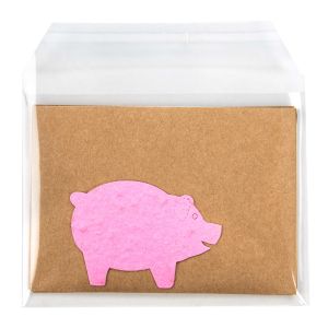 B45SCT Flap Seal Bags -  5 11/16