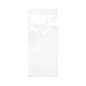 B49PC Protective Closure Bags – 4 5/16” x 9 9/16”