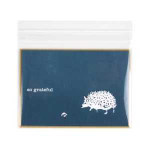 B53XL Flap Seal Bags -  5 5/16