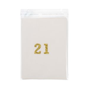 B5B1 Flap Seal Bags -  4 7/8