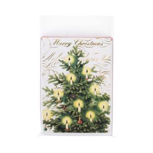 B5N9PC Protective Closure Bags –5 15/16” x 7 ¾”