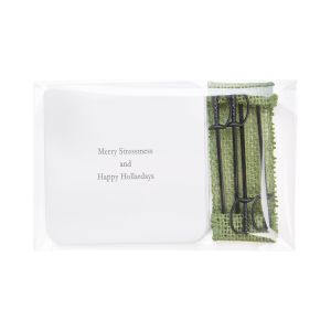 B5X3XL Flap Seal Bags -  5 7/8