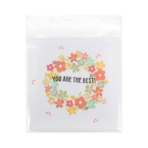 B5X5XL Flap Seal Bags -  5 15/16