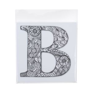 B66PC Protective Closure Bags –6 ¼” x 6 ¼”