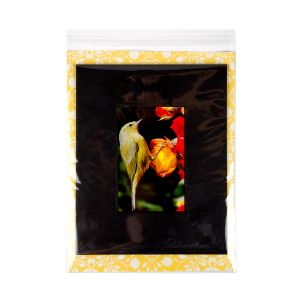 B811 Flap Seal Bags -  8 15/16