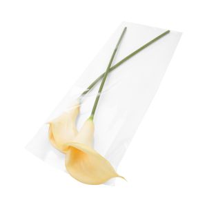 B823 Flap Seal Bags -  8 5/8