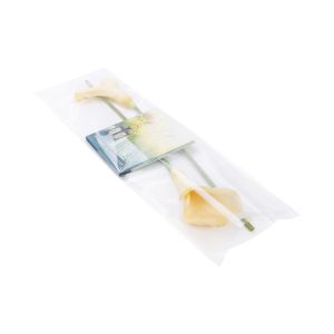 B827 Flap Seal Bags -  8 7/16