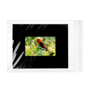B9 Flap Seal Bags -  9 7/16” x 12 ¼”