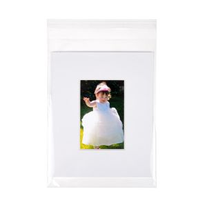 BA4 Flap Seal Bags - 8 11/16