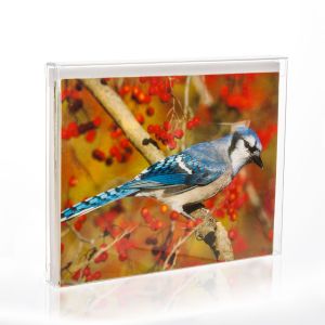 FB6 Crystal Clear Boxes – 4 ½” x 5 7/8” x ½”