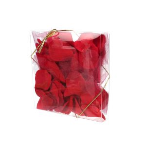 FB81 Crystal Clear Boxes – 6 3/8” x 6 5/16” x 1”