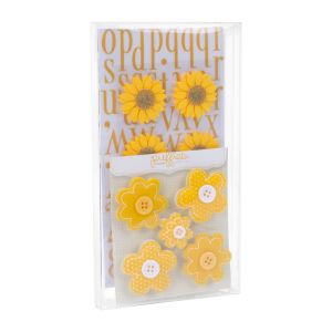FB97 Crystal Clear Boxes – 4 1/6” x 7 9/16” x 5/8”