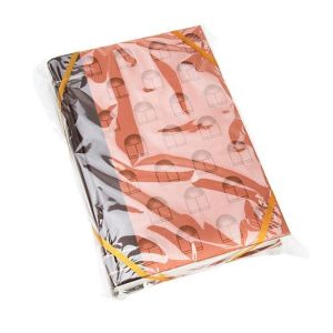 FP1816 Polypropylene Flat Bag - 8