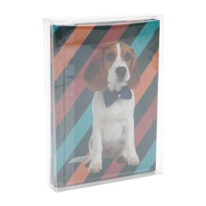 FPB168 Acid-Free Photo Safe Box – 5 1/8” x 7 1/8” x 1”